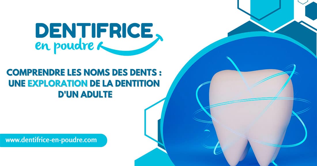 noms des dents